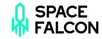 Space Falcon